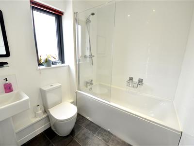 Picture 13